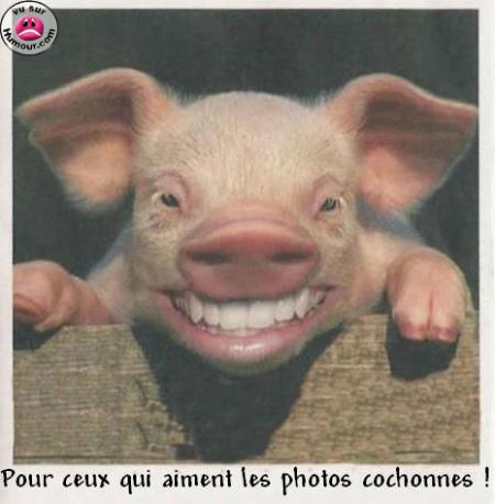Pas de commentaire!